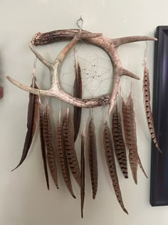 a deer antler is hanging on the wall