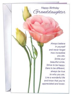 a birthday card with two pink roses on it