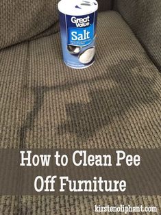 a can of clean pee off furniture sitting on the couch with text overlay that reads how to clean pee off furniture