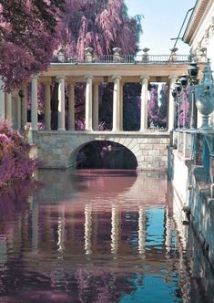 a bridge over a body of water with trees in the background