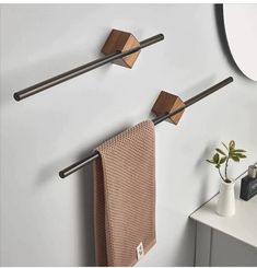 two towel racks are hanging on the wall next to a mirror and a potted plant