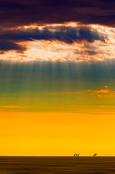 three birds flying in the sky over an open field with sunbeams and clouds