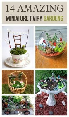 miniature fairy gardens are displayed in glass bowls