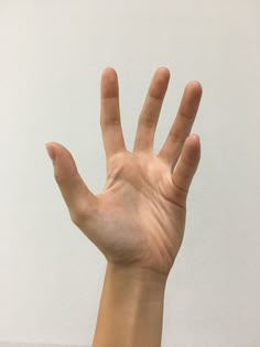 a person's hand reaching up towards the sky