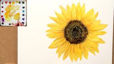 a sunflower painted with watercolors next to a painting