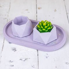 a purple tray with two small pots and a succulent plant on it, sitting on a white wooden surface