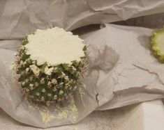 a cactus with white flowers on it sitting in a bag next to some other items