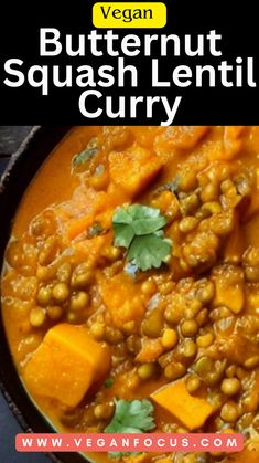 vegan butternut squash lentil curry in a bowl with text overlay that reads, vegan butternut squash lentil curry