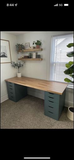 an office desk with drawers and shelves on the wall next to a potted plant