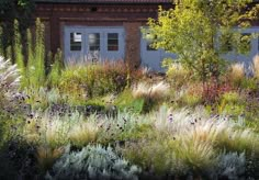 a garden with lots of different plants and flowers in front of a brick building on a sunny day