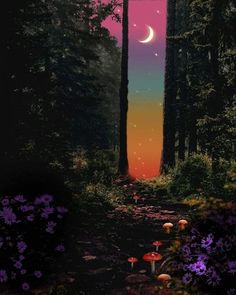 a path in the woods with mushrooms and flowers on it at night under a crescent moon