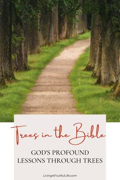 trees in the bible, god's profound lessons through trees and how to use them