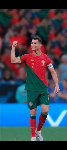 the soccer player is celebrating his team's win in the match between portugal and england