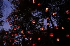 many pumpkins are lit up in the night sky