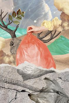 a collage of an animal, tree and plastic bag in the sand with clouds