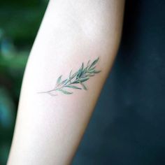 a woman's arm with a small green leaf tattoo on it