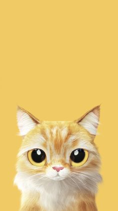 an orange and white cat with big yellow eyes looking at the camera while standing in front of a yellow background