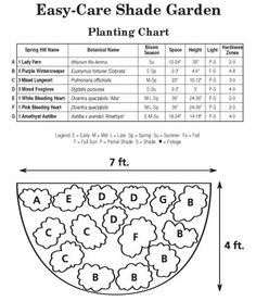 the diagram for easy care shade garden planting chart