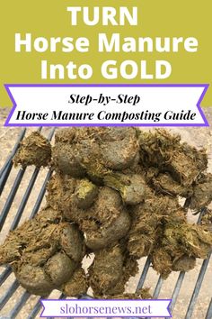 horse manure in the grill with text that reads turn horse manure into gold step - by - step horse manure composting guide