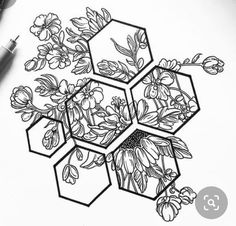 a drawing of flowers and honeycombs on paper