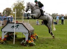 a person jumping a horse over an obstacle with people watching onlookers in the background