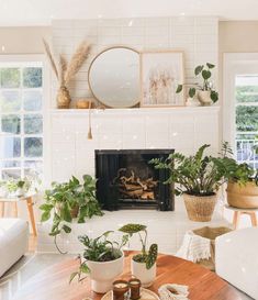 a living room with potted plants and a fire place in the fireplace mantel