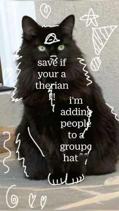 a black cat with green eyes sitting on the ground next to a white sign that says, save if your a thereian i'm adding people to group hat