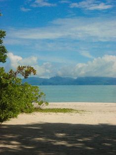 a bench sitting on top of a sandy beach next to the ocean under a blue sky