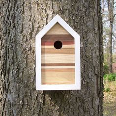 a bird house hanging on the side of a tree