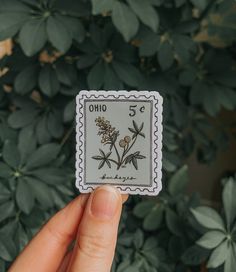 a person holding up a stamp with a blue flower on it's front side