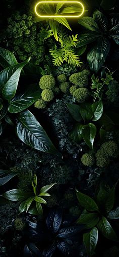 an illuminated neon sign surrounded by green plants and leaves in the dark night sky with bright yellow light