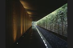 the walkway is lined with bamboo trees at night