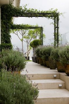 some plants are growing in pots on the side of a set of steps that lead up to an entrance