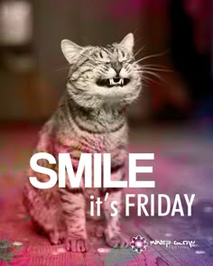 a cat with its mouth open and the words smile it's friday