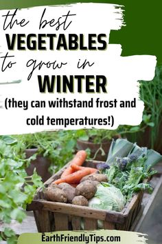 the best vegetables to grow in winter they can whitstand frost and cold temperature