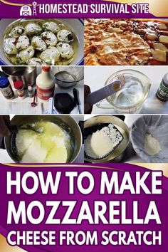 how to make mozzarella cheese from scratch