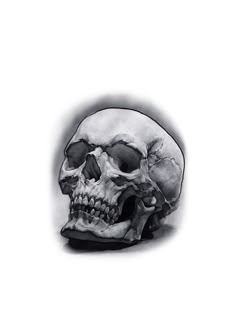 a black and white drawing of a human skull