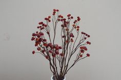 a vase filled with red flowers on top of a wooden table next to a white wall