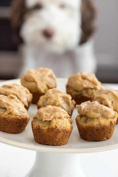 a white plate topped with muffins next to a dog