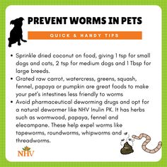 a poster describing how to prevent worms in pets