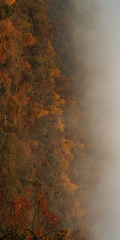 an airplane is flying in the sky above trees with fall foliage on it's sides