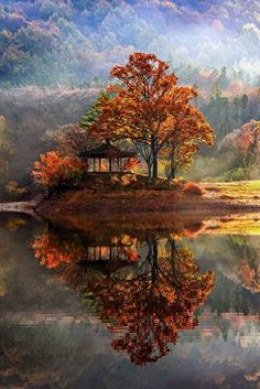 a small island in the middle of a lake surrounded by trees with autumn leaves on it