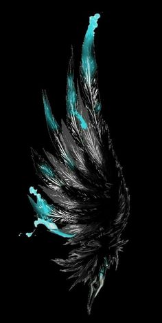 an abstract black and blue feather on a black background