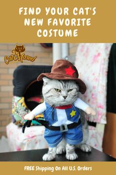 a cat with a hat and costume on is looking at the camera text reads find your cats new favorite costume free shipping on all us orders