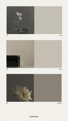 four different shades of gray with white flowers in the middle and one black chair on the other side