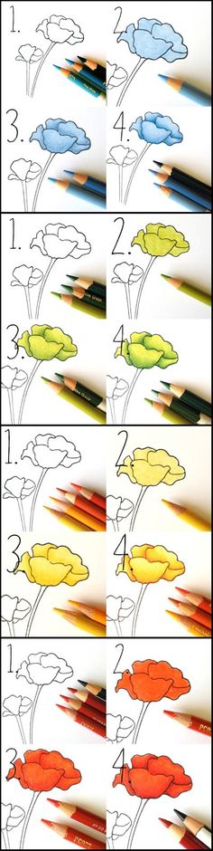 four different colored pencils are shown with the same drawing technique as in this photo