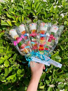 a person holding up a bunch of candy in front of some green leaves and bushes