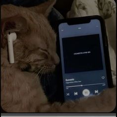 the cat is sleeping next to an mp3 player