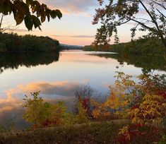 a lake surrounded by trees and bushes with the sun setting in the distance behind it