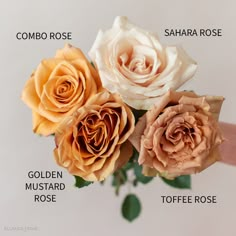 four different types of roses are shown in this image with the words golden mustard, toffee rose, saharra rose, golden mustard and toffe rose